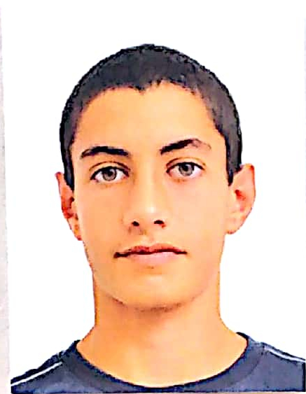 כרמי אסף
