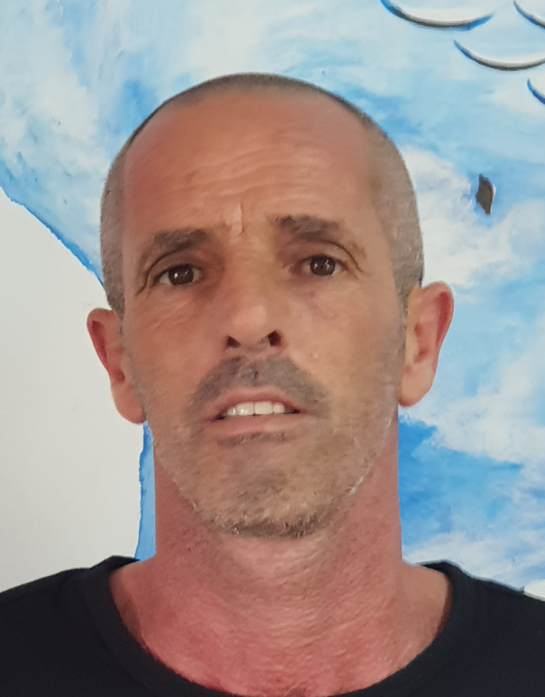 אילן בן דיין