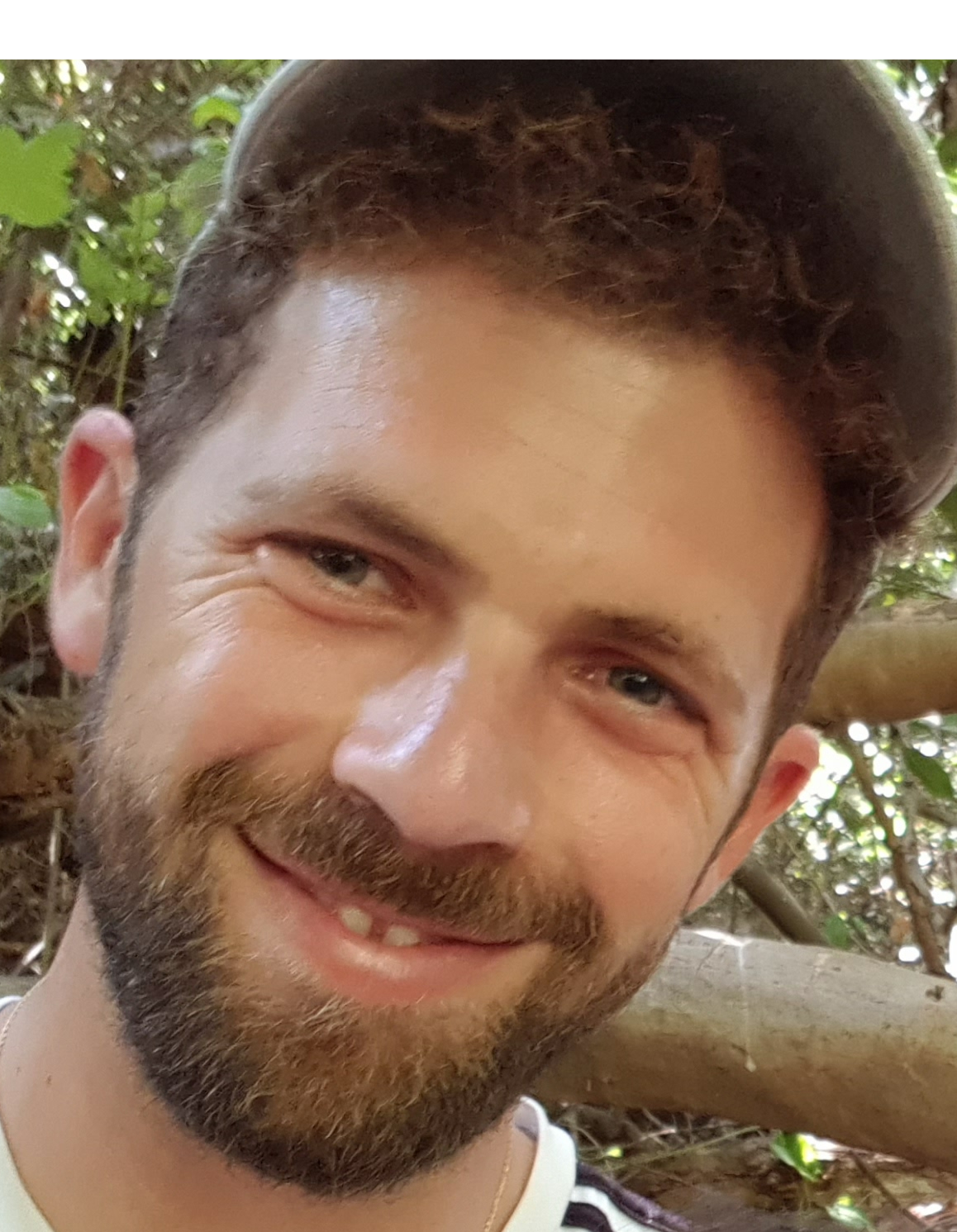 סנדר דור