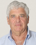 רז אמנון