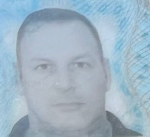 זברו דוד