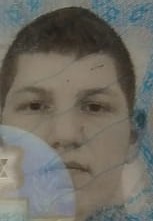 אלון ברק