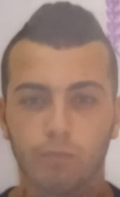 לוויאשוילי שלום