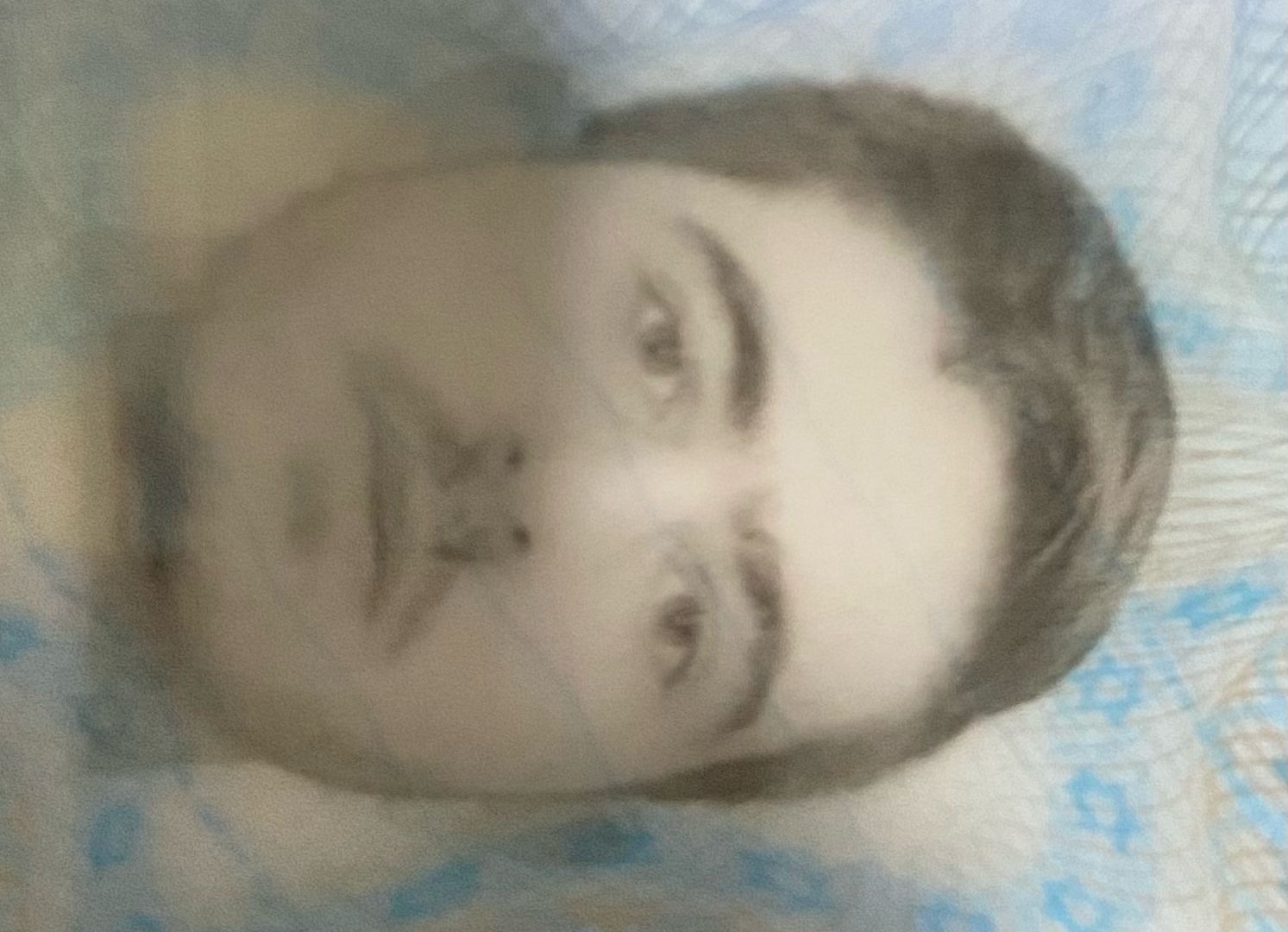 בובליל רפאל