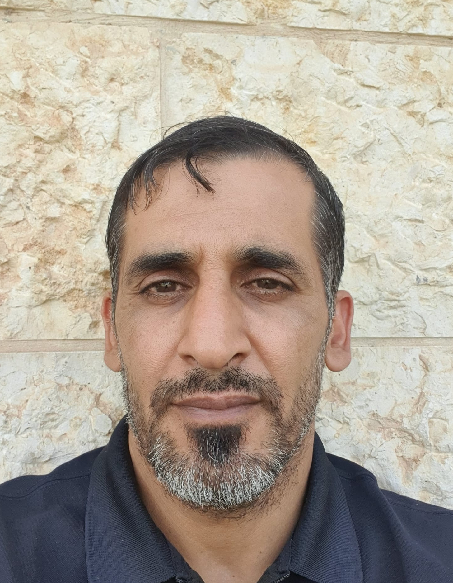שלבי עלי