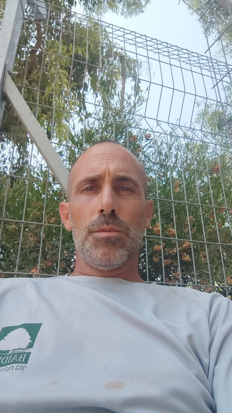 שטיין רז