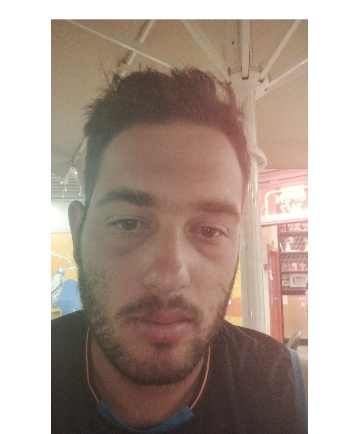 מנדי ארז