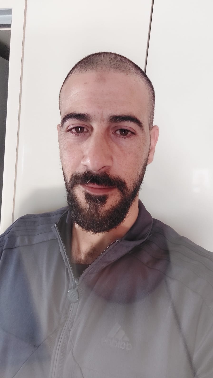 חיגאזי עלי