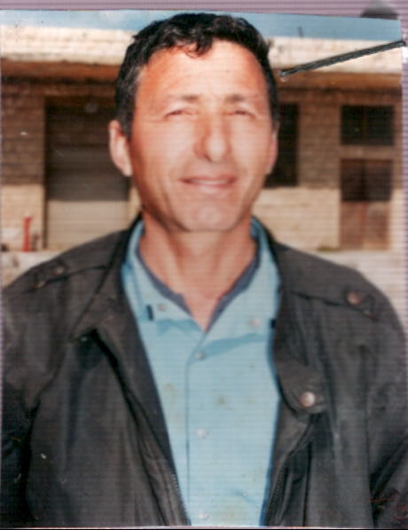 דיצי יוסף