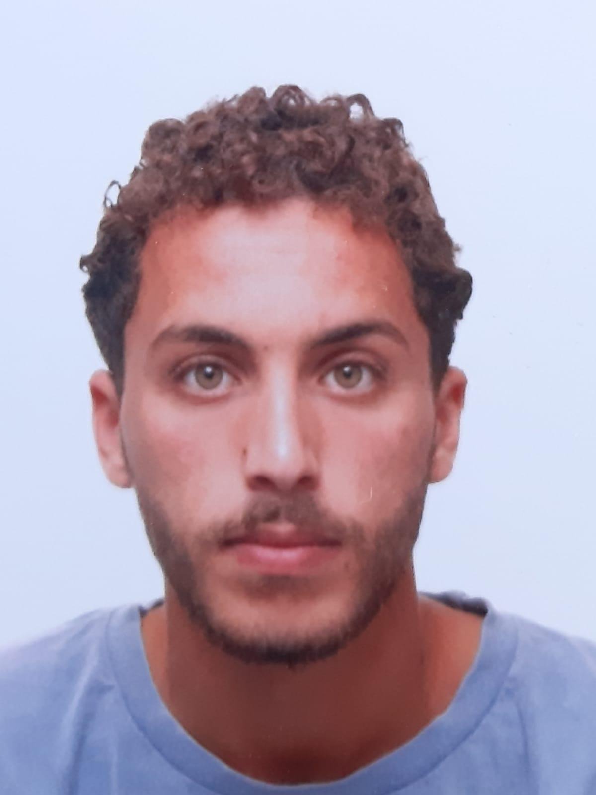 הלוי אביב