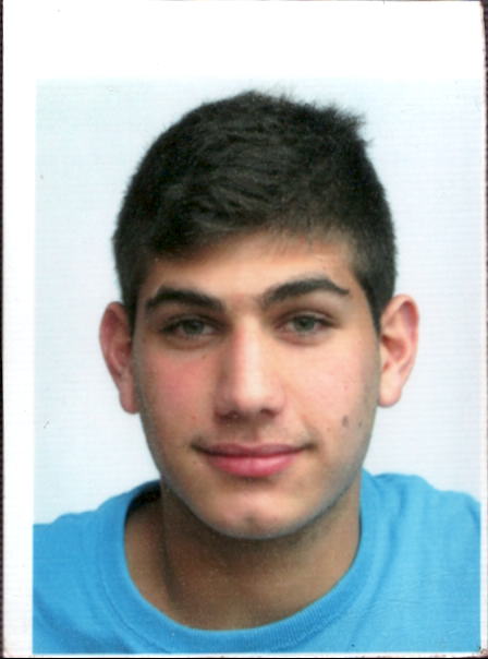 HAREL Guy